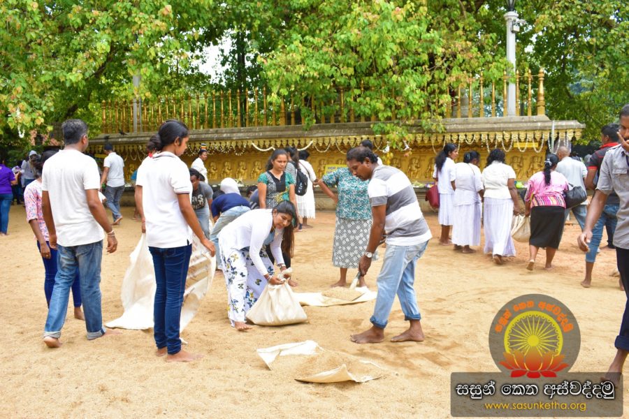 2018.09.16 කැළණි බෝධී මලුවේ සුදුවැලි ඇතිරීමේ අසිරිමත් පින්කම_51