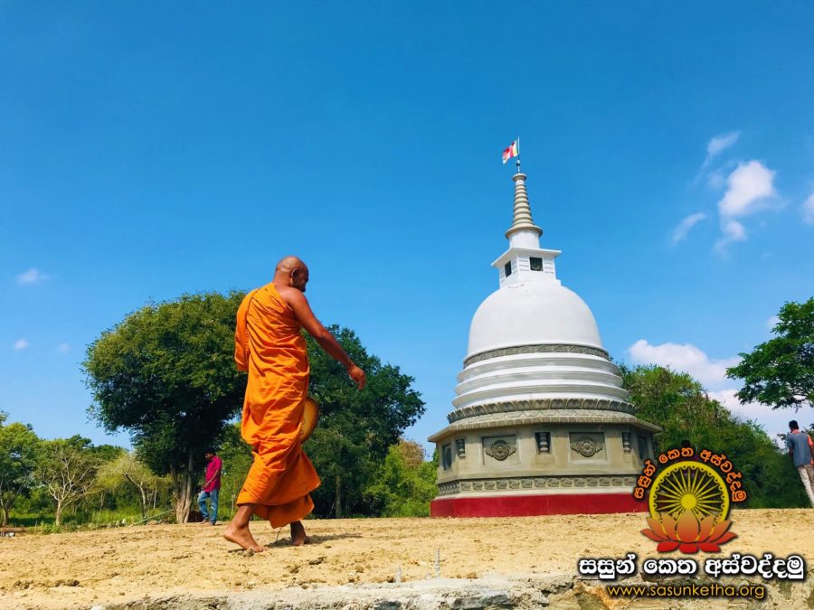 2019.02.23 නිකවැරටිය අභිනව සෑ රජුන්ගේ තීන්ත ආලේප කර පිලිසතර කල වගයි_49