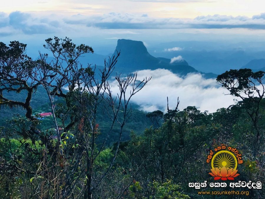 2019.07.13-14 අවාරයේ කුරුවිට මාර්ගයෙන් සිරිපා කරුණා කර හිමිවරුන් වෙත පිරිකර පූජා කිරීම_4